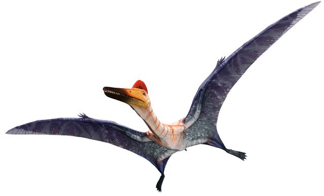 File:PterodactylusInfobox.jpg