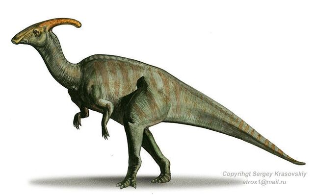 File:Parasaurolophus 0d4f.jpg