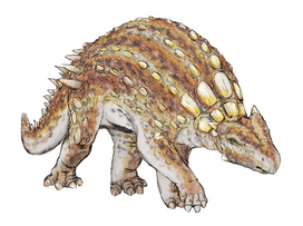 800px-Minmi paravertebra dinosauria