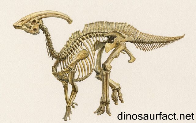 File:Parasaurolophus2 f43a.jpg