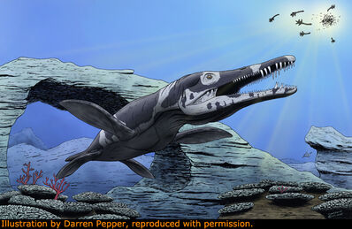 Kronosaurus