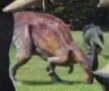 ParasaurJW.jpg