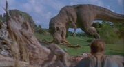 Tyrannosaurus saalistaa gallimimuksen.jpg