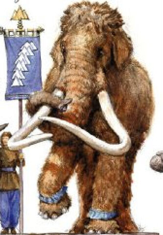 File:Woolly Mammoth.jpg