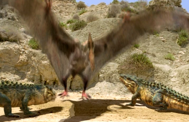 File:Pic31.png
