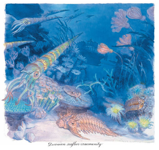 File:Devonian Seafloor.jpg