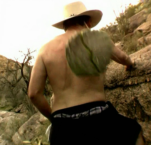 File:Pricky pancho3.png