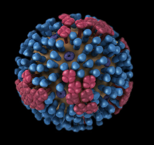 File:Fluvirus.jpg