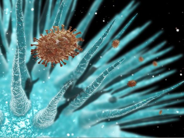 File:Flu-virus 959 600x450.jpg