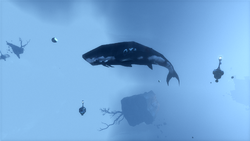 Whale01