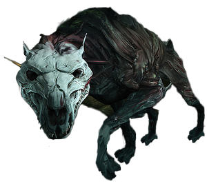 FOSA.png