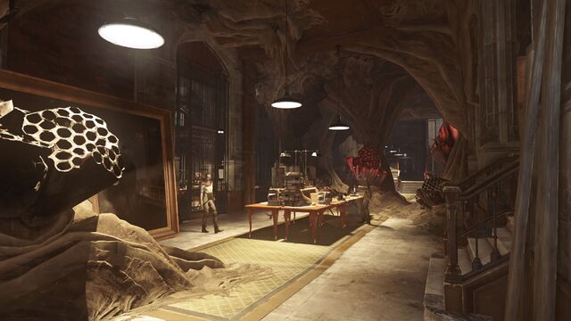File:BasementConservatory.jpg