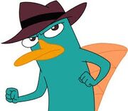Perry