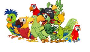 Tropical parrots