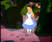 Alices