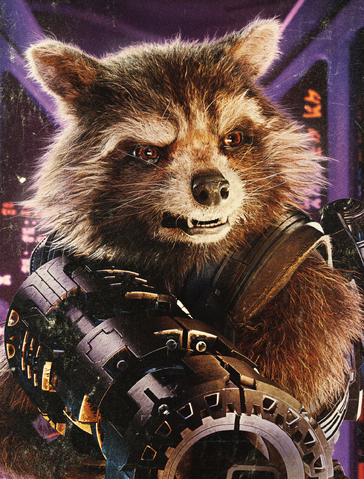 File:RocketRaccoon.png