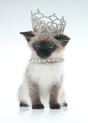 File:Princess.jpeg