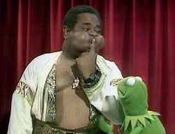 Celeb.dizzy