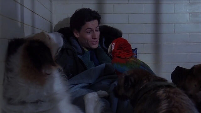 File:102-dalmatians-disneyscreencaps com-7357.jpg
