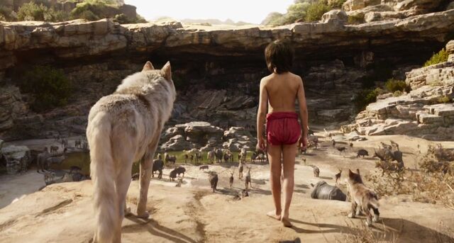File:Jungle Book 2016 104.jpeg