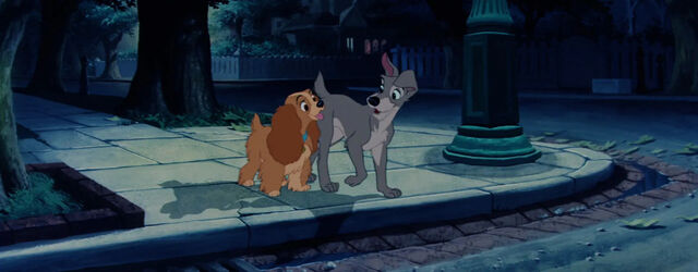File:Lady and tramp.jpg