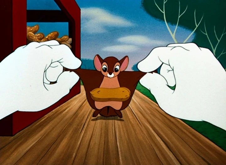 Image - The flying squirrel 8.jpg | Disney Wiki | FANDOM ...