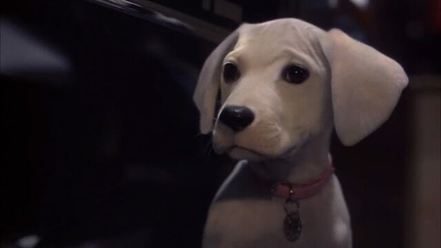 File:102-dalmatians-disneyscreencaps.com-8330.jpg