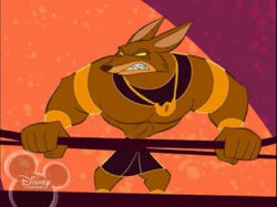 Jackie the Jackal