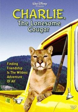 Charlie the Lonesome Cougar