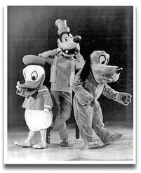 Goofy Costumes Through the Years | Disney Wiki | Fandom powered by Wikia
