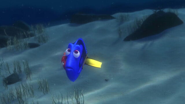 File:Finding-nemo-disneyscreencaps.com-2100.jpg