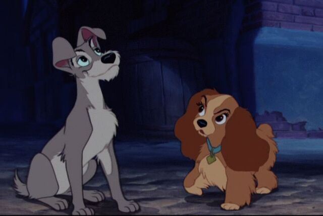 File:Lady-and-the-Tramp-disneys-lady-and-the-tramp-9960500-720-480.jpg