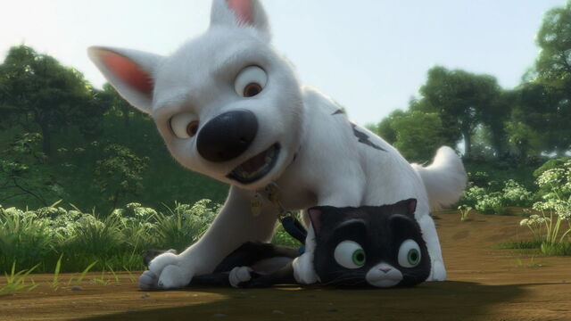 File:Bolt-disneyscreencaps.com-4564.jpg
