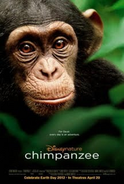 Chimpanzee