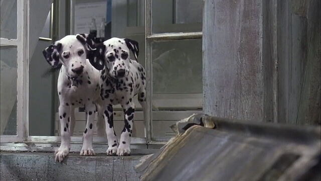 File:102-dalmatians-disneyscreencaps.com-2894.jpg