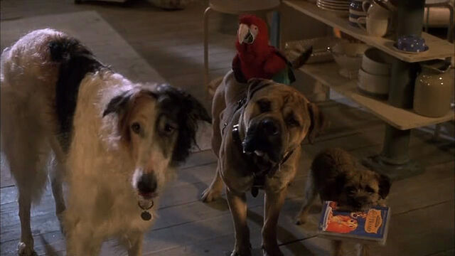 File:102-dalmatians-disneyscreencaps com-5316.jpg