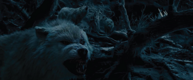 File:Beauty-and-the-Beast-29.png