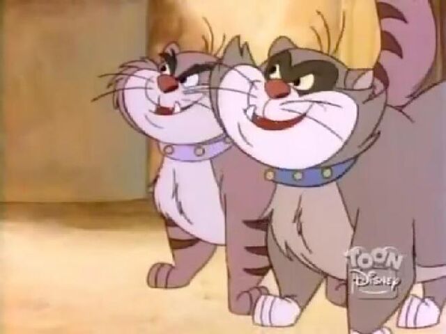 File:Pintscats26.jpg