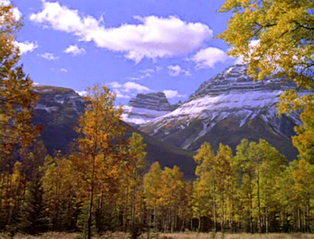 File:Tumblr mv3cxt1W7D1qhcrb0o1 1280.jpg