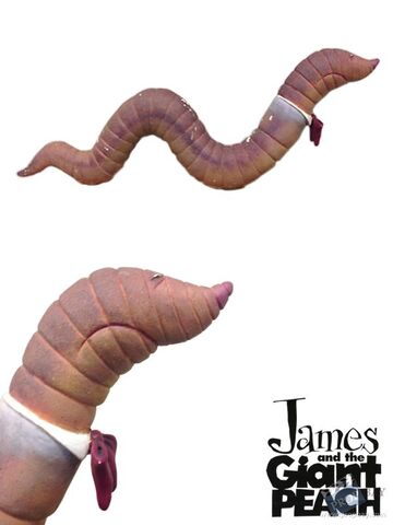 File:Earthworm Image.jpg