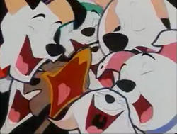 Dalmatian-Song