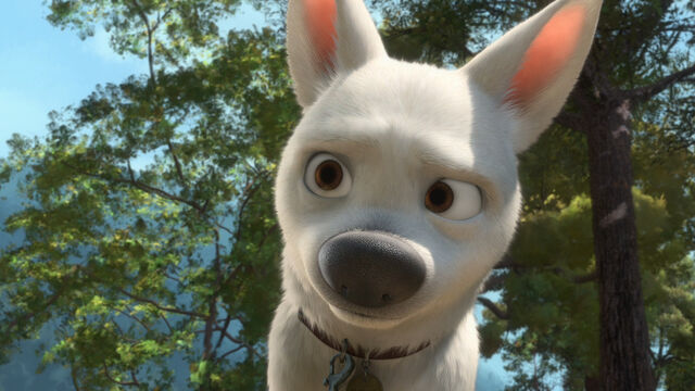 File:5387891114 f78dacb547 b.jpg.jpeg