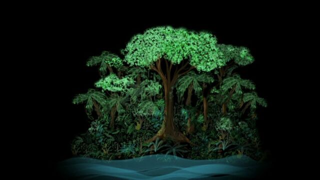 File:TheRainforest.jpg