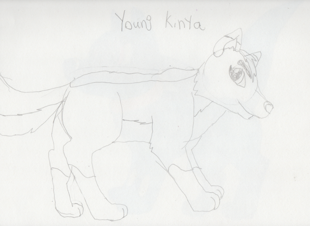 File:Young Kinya Sketch.png