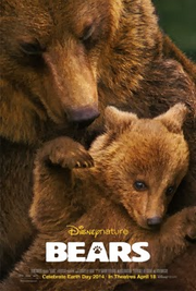 Bears.png