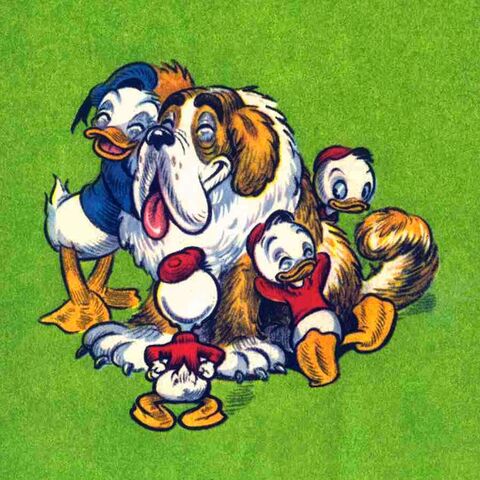 File:DuckFamily.jpg