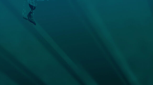 File:Fantasia-disneyscreencaps.com-1421.jpg
