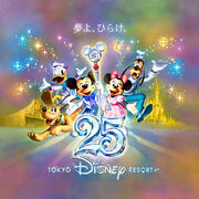TDR25thAnniverart