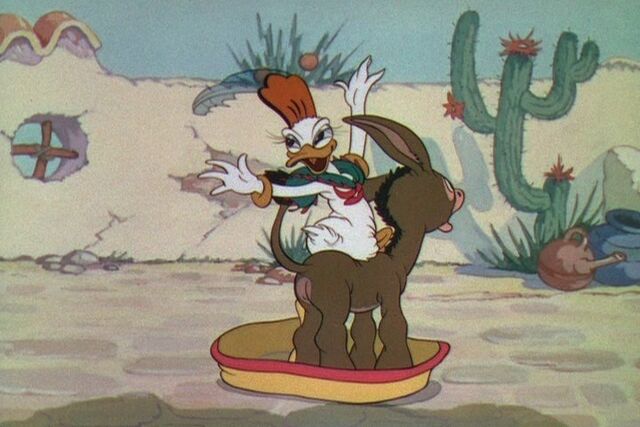 File:Donald-Duck-Don-Donald-donald-duck-9562709-720-480.jpg