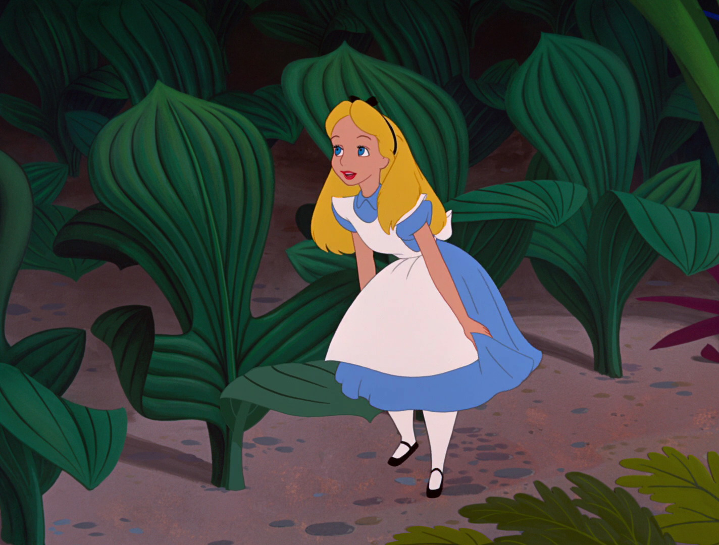 alice in wonderland showcase